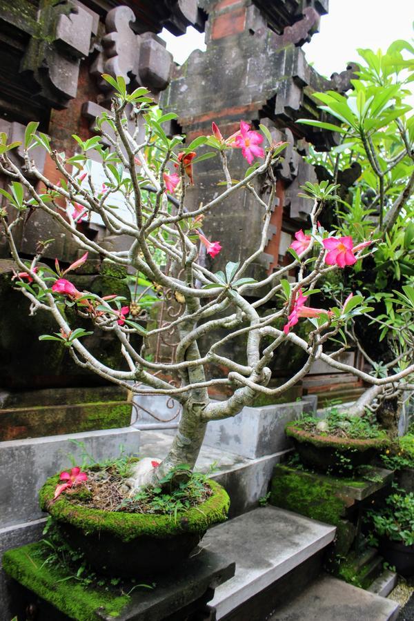 Rama Homestay Ubud  Exterior photo