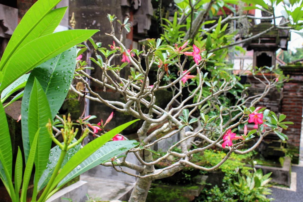 Rama Homestay Ubud  Exterior photo